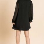 Sheer Polka Dot Fabric Long Ruffle Sleeve V-neck Dress3